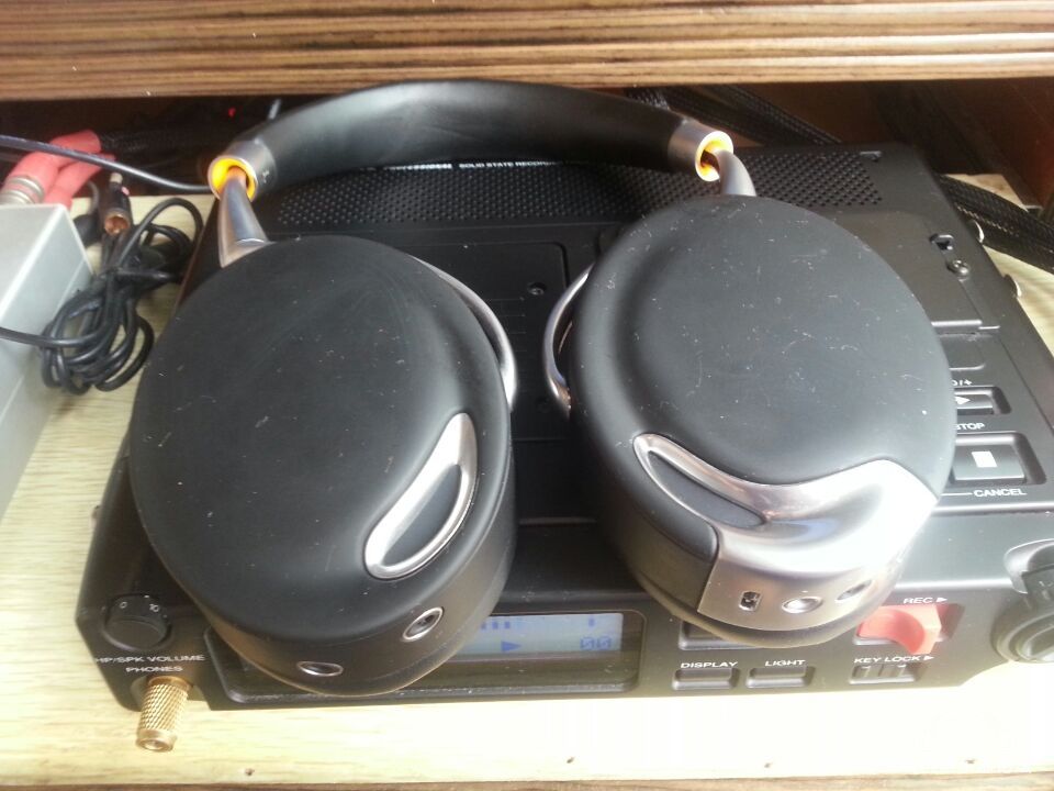 parrot zik