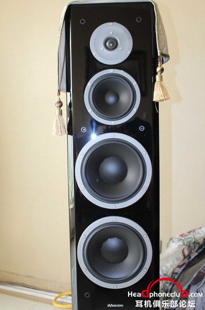 Dynaudio Focus 380_2.jpg