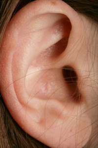 EAR.jpg